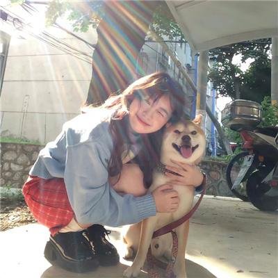 机长大人总想要复合